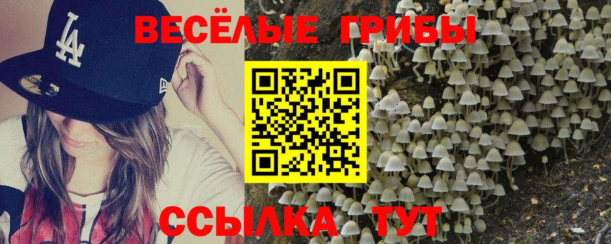 Отрадный  Псилоцибиновые грибы мухоморы  Вход с VPN 