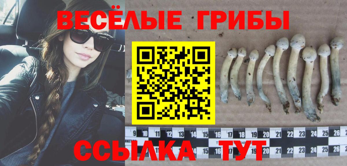 Галлюциногенные грибы Psilocybine cubensis Отрадный